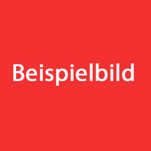 Beispielbild alternativer Text