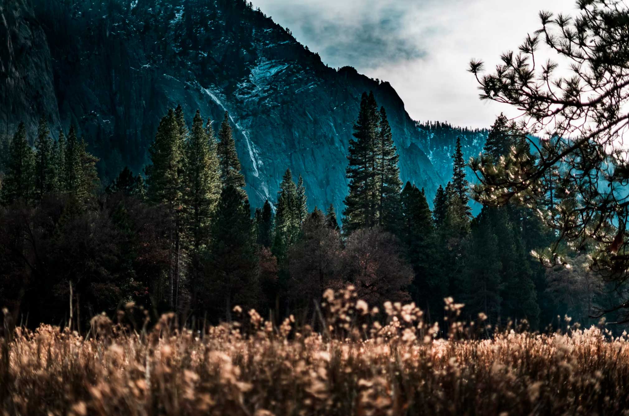 Berge, Wald und Felder